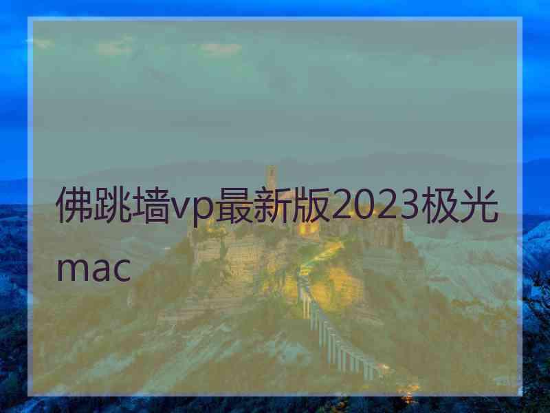 佛跳墙vp最新版2023极光 mac